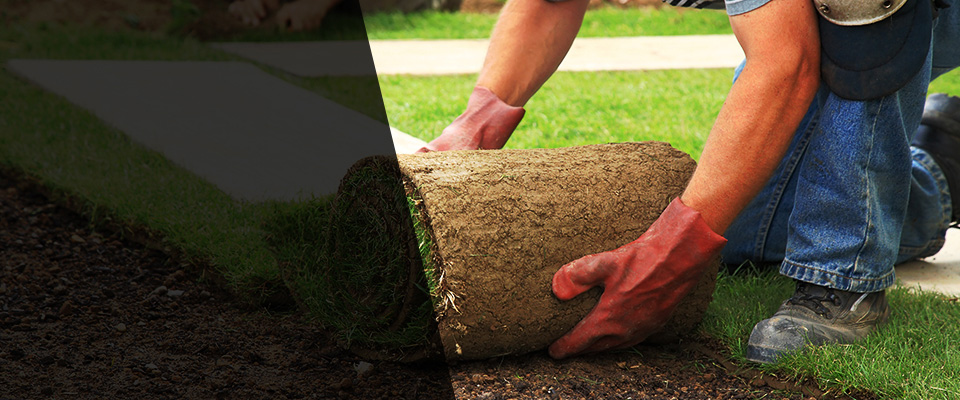 Pleasantville Landscapers